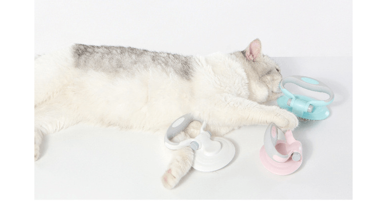 Furcare Pro: Die ultimative selbstreinigende Drahtbürste für ein makelloses Pflegeerlebnis!