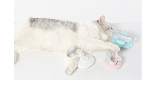 Furcare Pro: The Ultimate Self-Cleaning Wire Brush For A Flawless Grooming Experience!