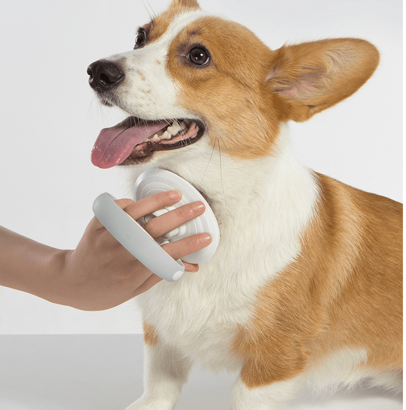 Furcare Pro: Die ultimative selbstreinigende Drahtbürste für ein makelloses Pflegeerlebnis!