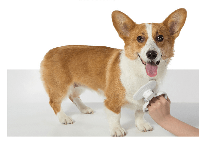 Furcare Pro: Die ultimative selbstreinigende Drahtbürste für ein makelloses Pflegeerlebnis!